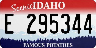 ID license plate E295344