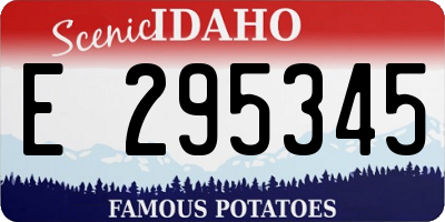 ID license plate E295345