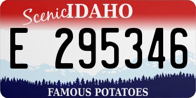 ID license plate E295346