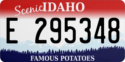 ID license plate E295348