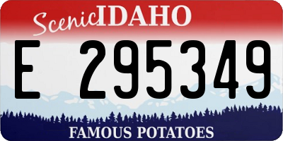 ID license plate E295349
