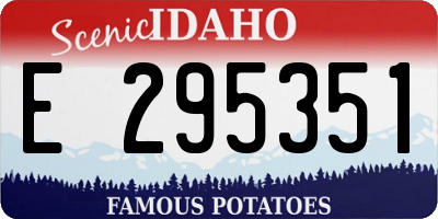 ID license plate E295351