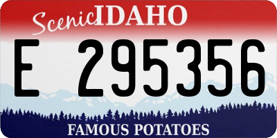 ID license plate E295356