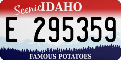 ID license plate E295359