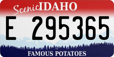 ID license plate E295365