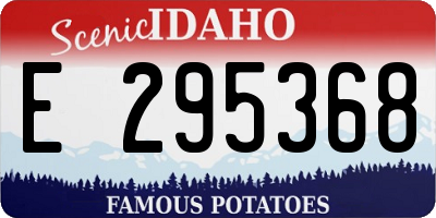 ID license plate E295368