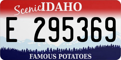 ID license plate E295369