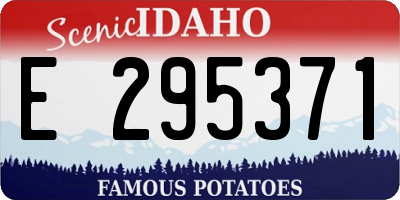 ID license plate E295371