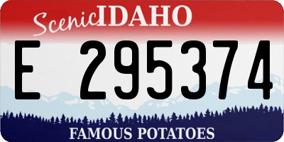 ID license plate E295374