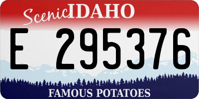 ID license plate E295376