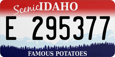 ID license plate E295377