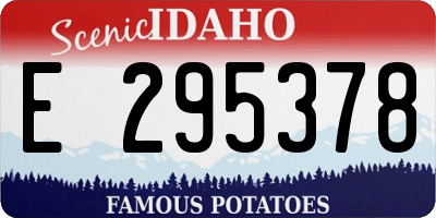 ID license plate E295378