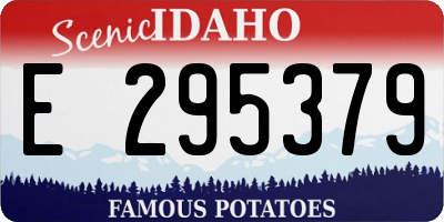 ID license plate E295379
