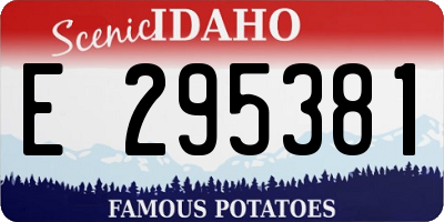 ID license plate E295381