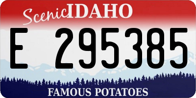ID license plate E295385