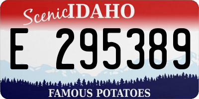 ID license plate E295389