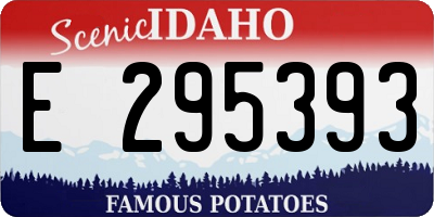 ID license plate E295393