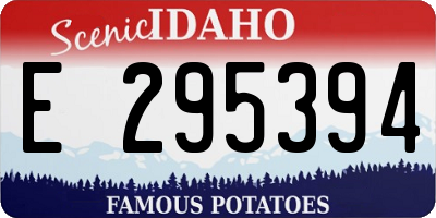ID license plate E295394