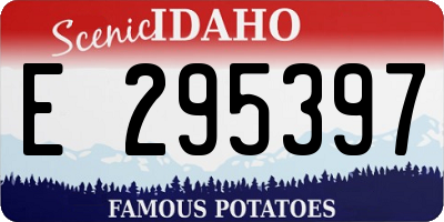 ID license plate E295397
