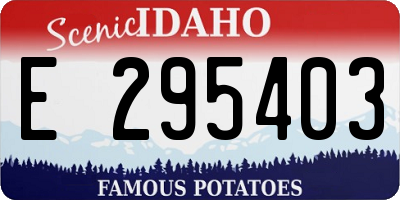 ID license plate E295403