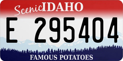 ID license plate E295404