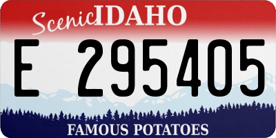 ID license plate E295405