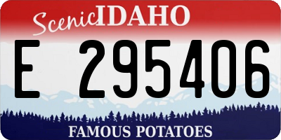 ID license plate E295406