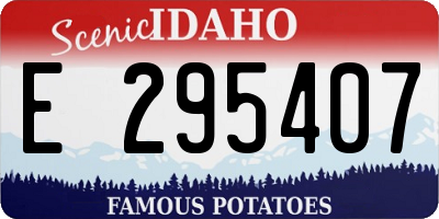 ID license plate E295407