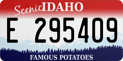 ID license plate E295409
