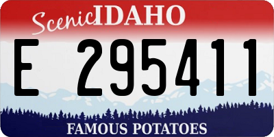 ID license plate E295411