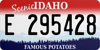 ID license plate E295428