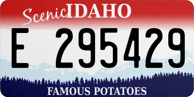 ID license plate E295429