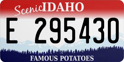 ID license plate E295430