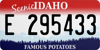 ID license plate E295433