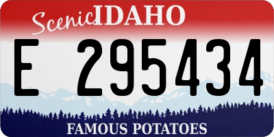 ID license plate E295434
