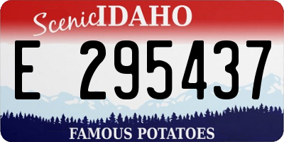 ID license plate E295437