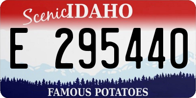 ID license plate E295440