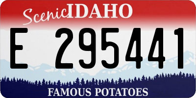ID license plate E295441