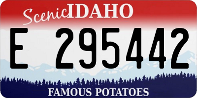 ID license plate E295442