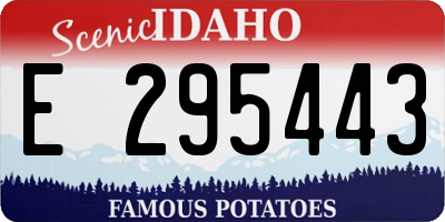 ID license plate E295443