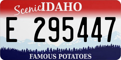 ID license plate E295447