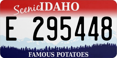 ID license plate E295448