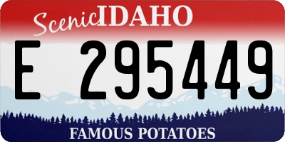 ID license plate E295449
