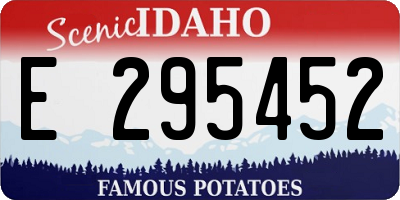 ID license plate E295452