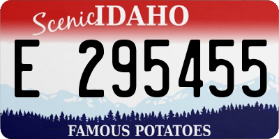 ID license plate E295455
