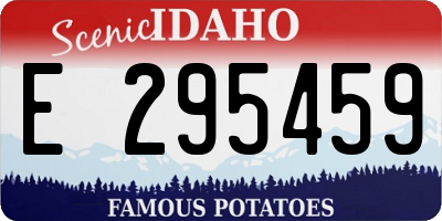 ID license plate E295459