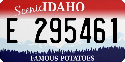 ID license plate E295461