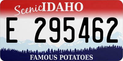 ID license plate E295462