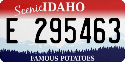 ID license plate E295463