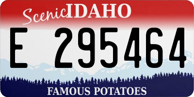 ID license plate E295464